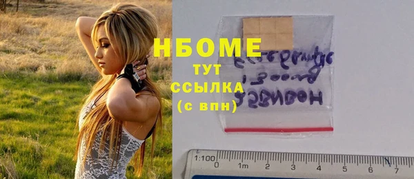 ECSTASY Алзамай