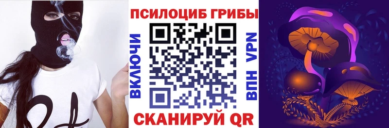Галлюциногенные грибы мицелий  Заинск 